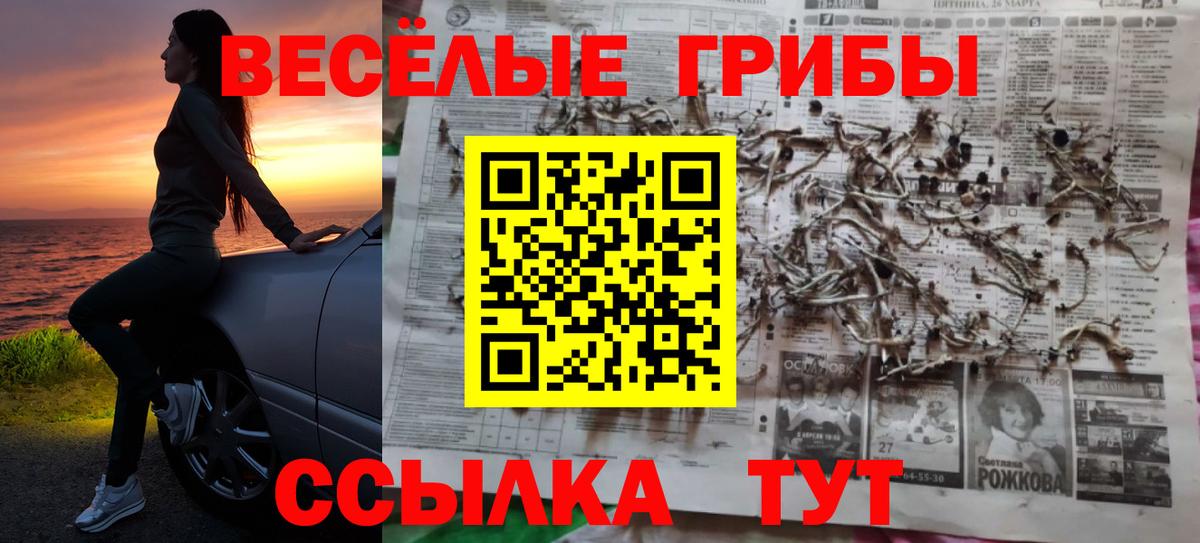 Нефтекумск  Псилоцибиновые грибы Magic Shrooms  Псилоцибиновые грибы MAGIC MUSHROOMS  Вход с VPN 