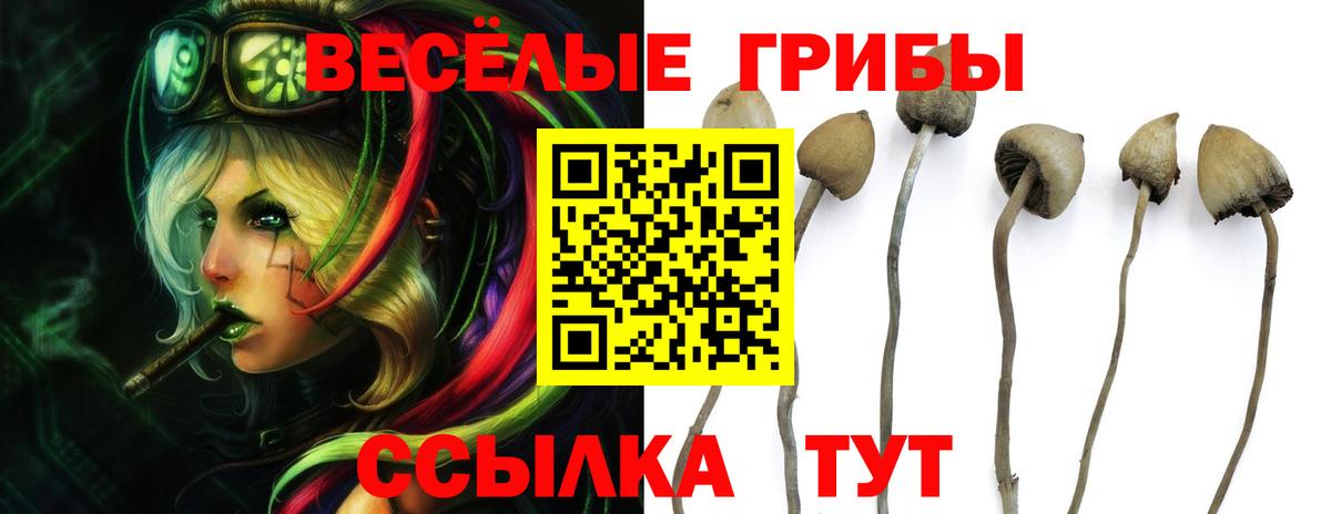 Псилоцибиновые грибы Magic Shrooms Нефтекумск